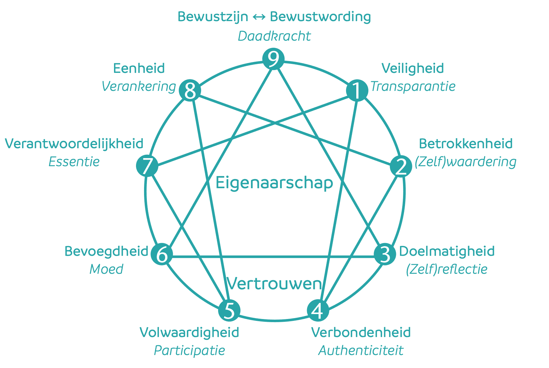 Enneagram Transformatiemodel