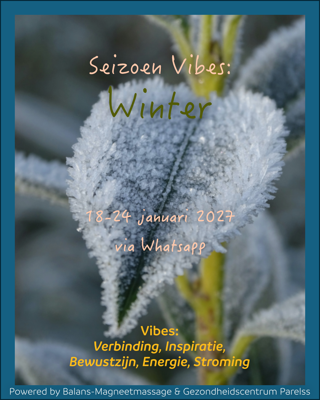 Vibes winter 2027 vet